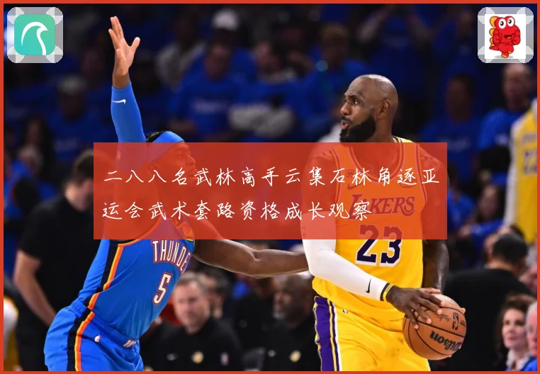 二八八名武林高手云集石林角逐亚运会武术套路资格成长观察