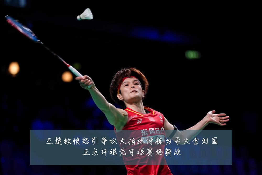王楚钦愤怒引争议大指林诗栋为导火索刘国正点评退无可退赛场解读