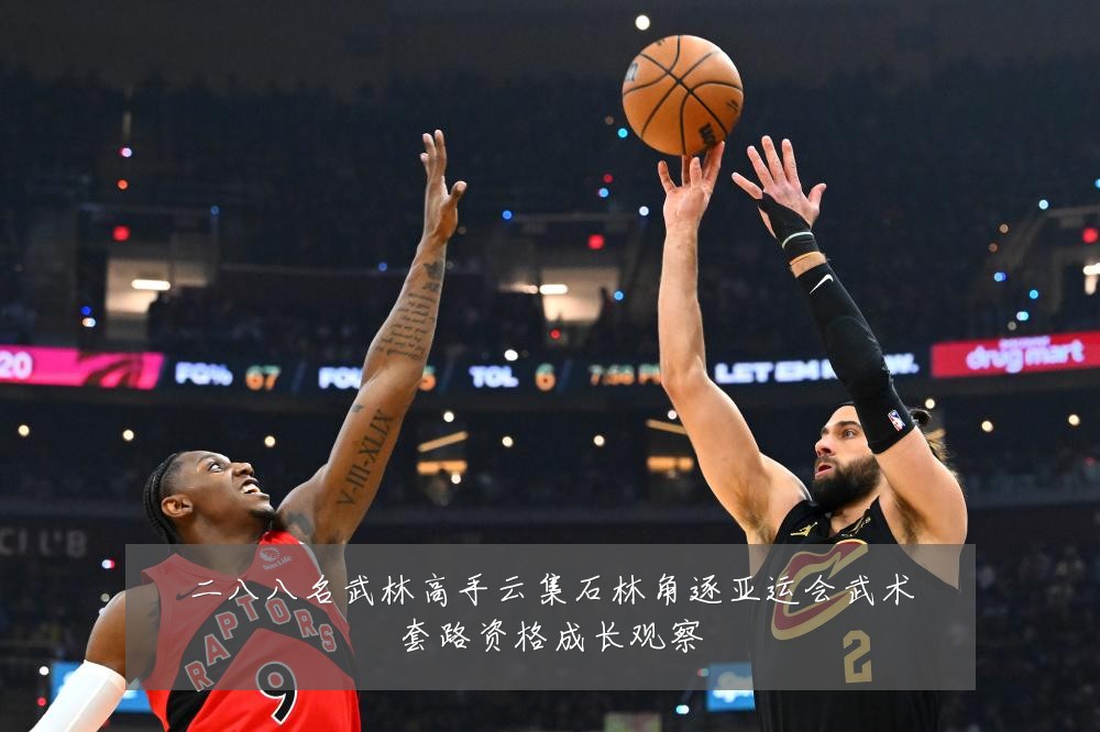 二八八名武林高手云集石林角逐亚运会武术套路资格成长观察